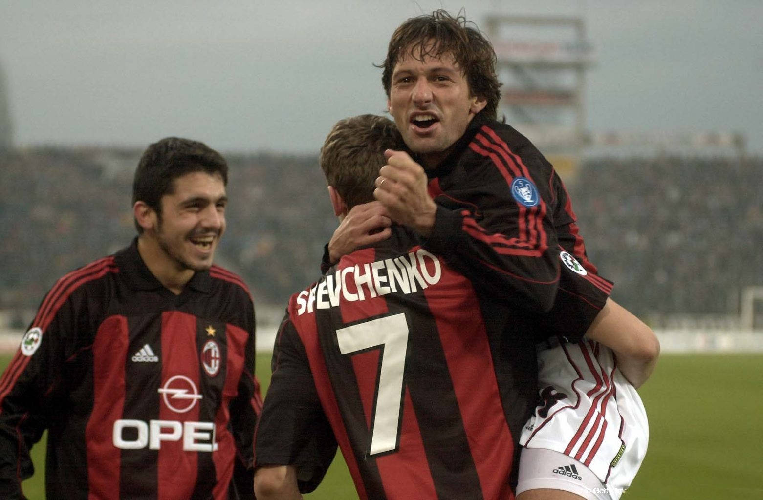 体育风采的 体育风采的